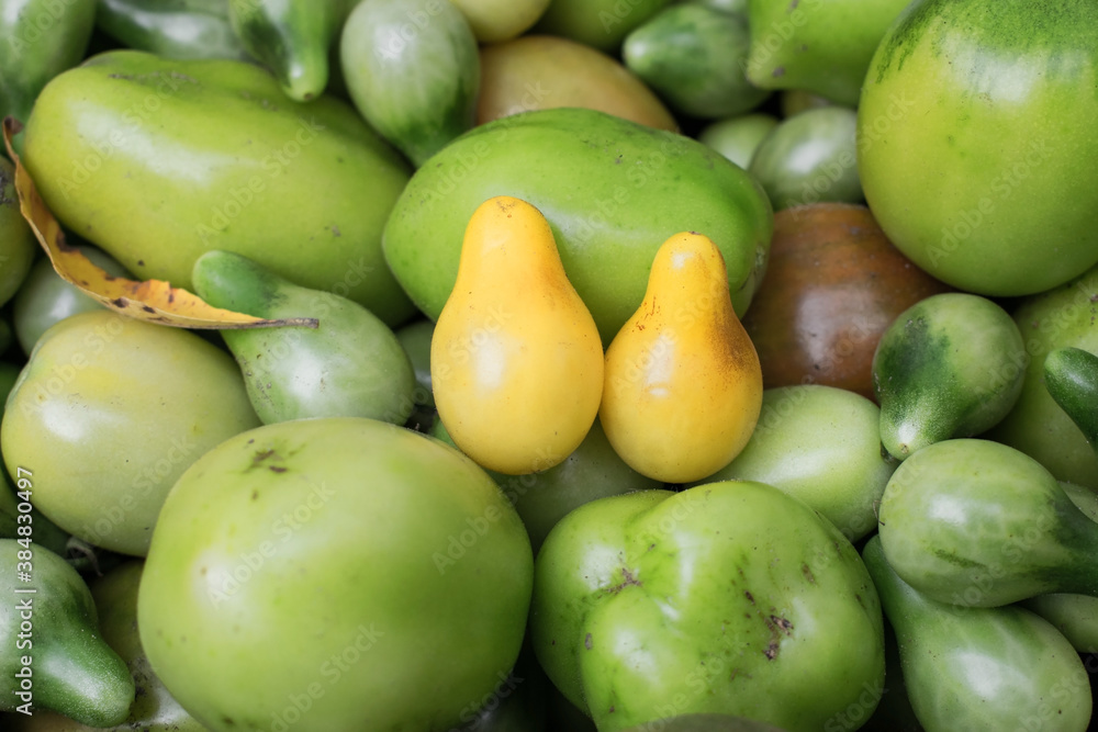 background from green and yellow tomatoes. Tomato variety as a light bulb