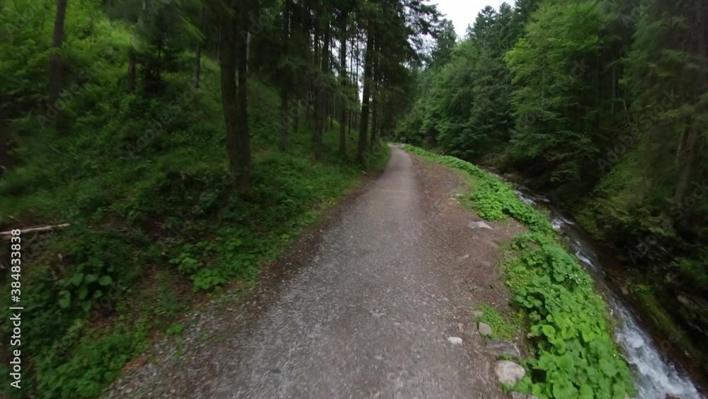 Walking Trail Along Mountain Forest Creek Hyper Lapse Walking Trail Along Mountain Forest Creek Hyper Lapse