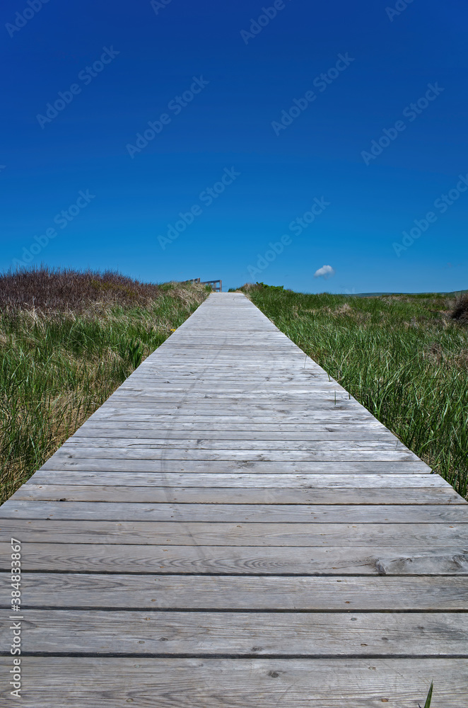 Isolated Nova Scotia, Canada boardwalk leading out to the bay near the town of Antigonish.
