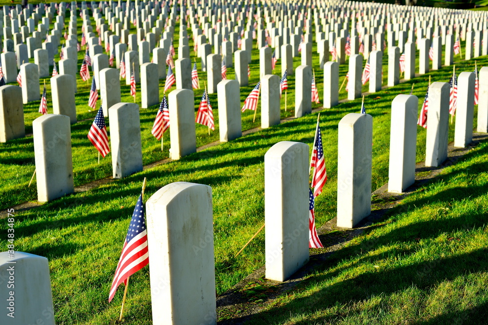 American Flags on Cemetery Stock Photo | Adobe Stock