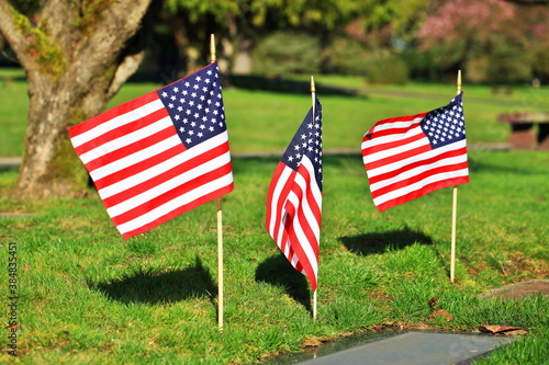 American Flags on Cemetery