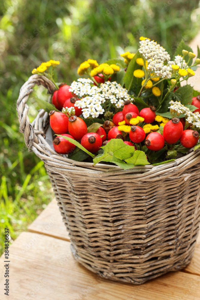 Bouquet of autumn plants in wicker basket Bouquet of autumn plants in wicker basket