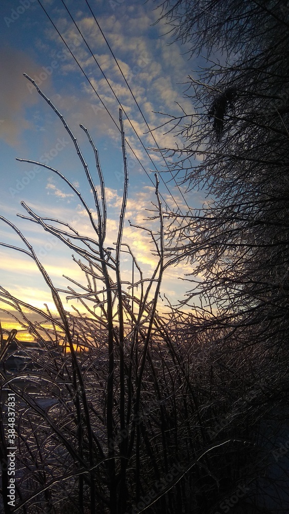 Obraz premium Freezing rain