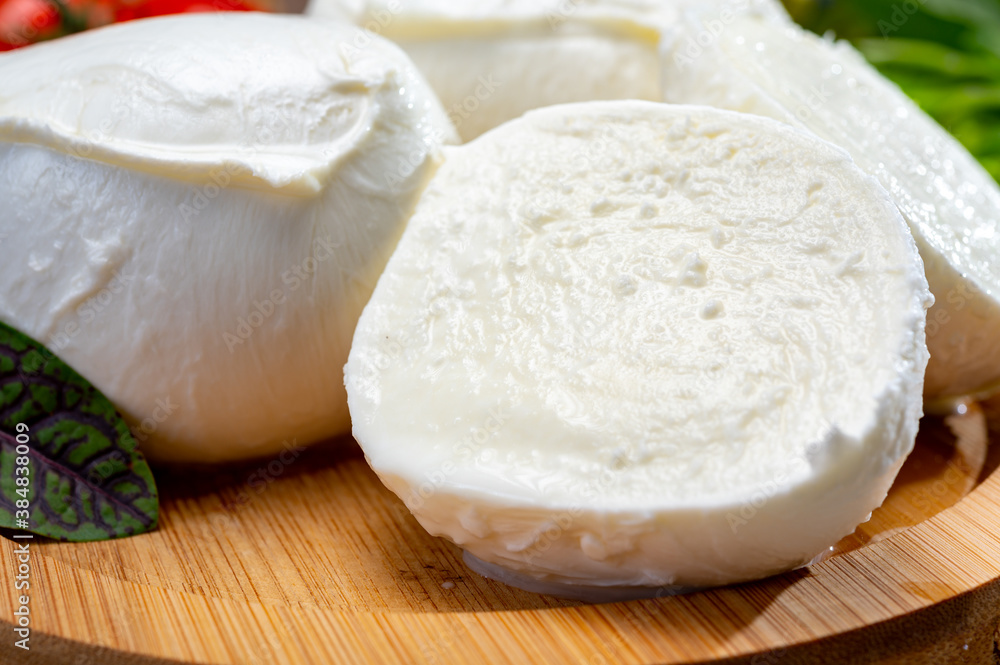 Fresh handmade soft Italian cheese from Campania, white balls of buffalo mozzarella cheese made from cow milk ready to eat Fresh handmade soft Italian cheese from Campania, white balls of buffalo mozzarella cheese made from cow milk ready to eat