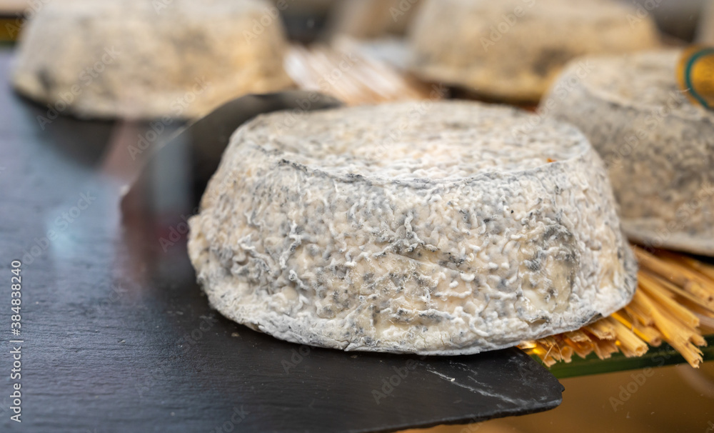 Cheese collection, French cheese made from goat milk in region Normandy in France Cheese collection, French cheese made from goat milk in region Normandy in France