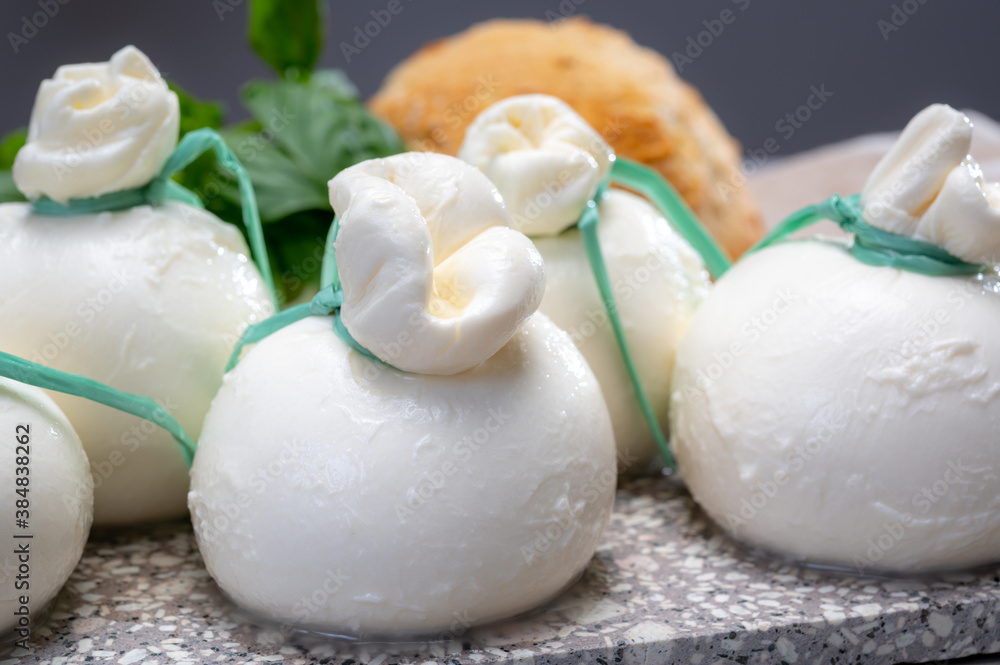 Cheese collection, fresh soft Italian cheese from Puglia, white balls of burrata or burratina cheese made from mozzarella and cream filling