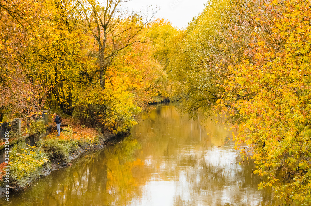 Picturesque autumn landscape of river and bright green and yellow trees and bushes