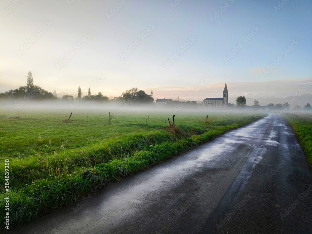 Fototapeta premium road in the fog