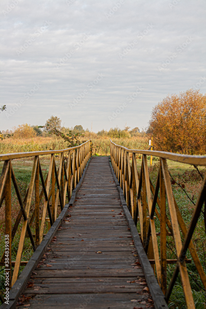 Fototapeta premium samll bridge