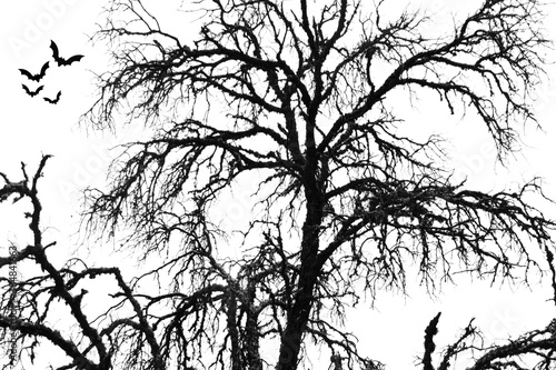 Arbol tenebroso en las sombras para Halloween