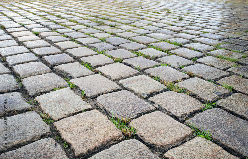 Fototapeta premium Neat paving stones with stones slightly wet from the rain. Wet pavement. Old cobblestone road, selective focus.