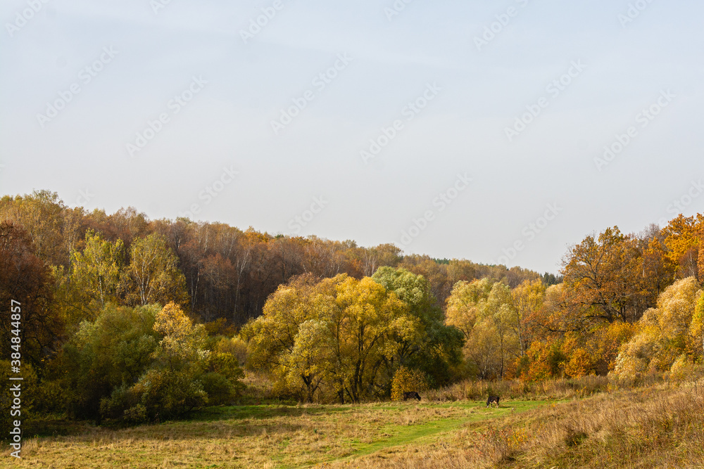 autumn landscape in the mountains