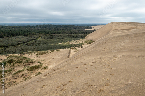 Dunes on the coast of Denmark