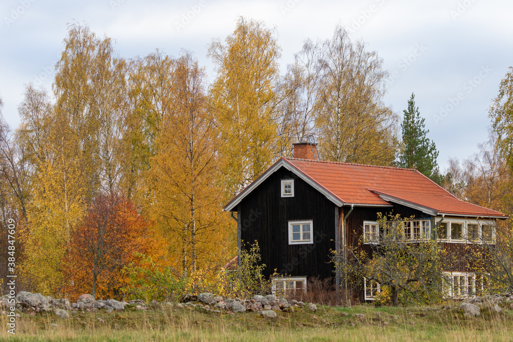 house in autumn house in autumn