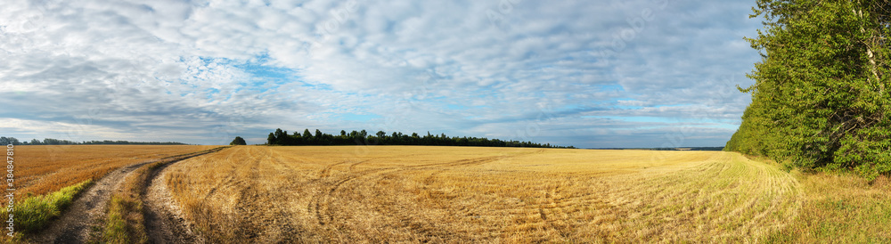 Beautiful summer panoramic landscape with rural road and empty golden field at sunset.