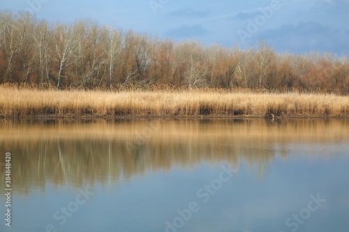 Calm lakeside autumn landscape with reed