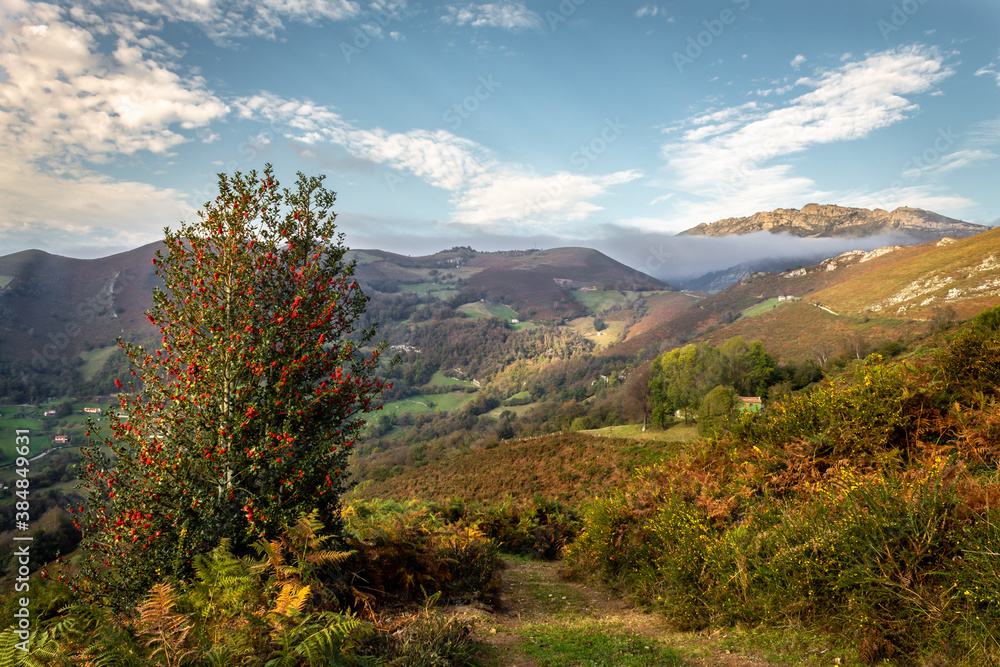 In autumn, the red berries of the holly stand out against the orange and brown tones of the landscape.
