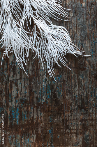 White decorative feathers on wood scratched blue and brown textured background. Copy space