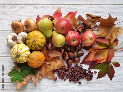 Healthy autumn foods rich in minerals and vitamins. Fall fruits and vegetables to support immune system. Autumn harvest concept - apples, pears, dried rose hips, pumpkin, chestnut, onion, fall leaves.
