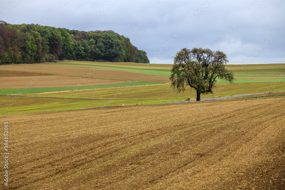 Agriculture landscape on the long distance hiking trail 