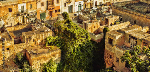 buildings covered by vegetation in Malta photo