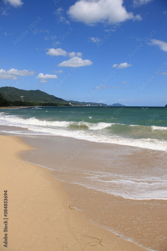 天橋立の砂浜 天橋立の砂浜