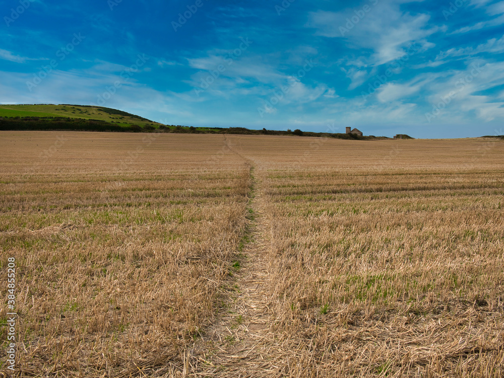 A trodden path across a field of stubble on a sunny day at the end of summer in the UK