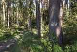 marking of the forest bicycle trail in the forests of Lubliniec in Silesia, Poland
