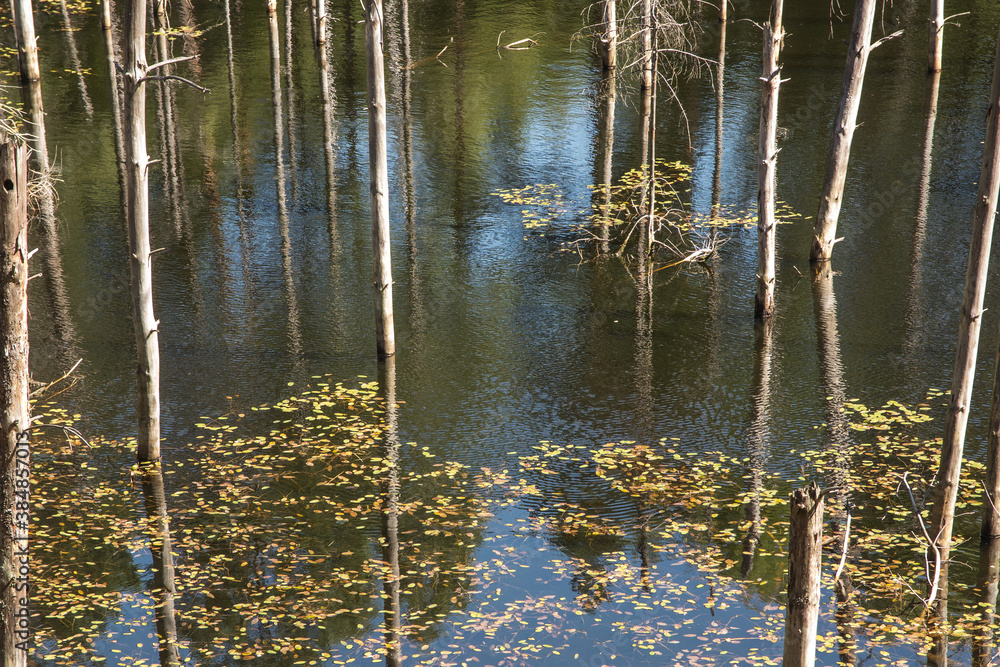 ponds at the site of the flooded iron mine 