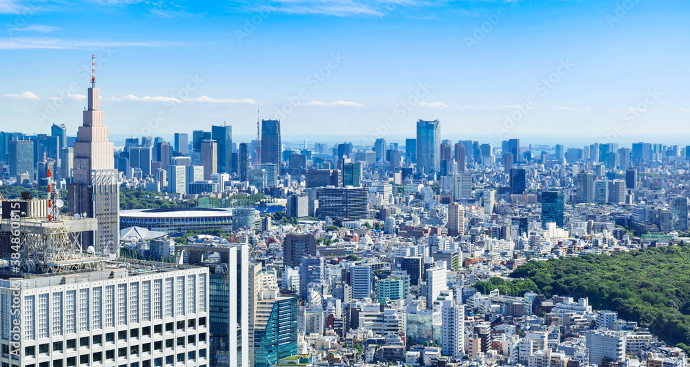 Fototapeta premium 都庁から眺める東京都心部 ワイド