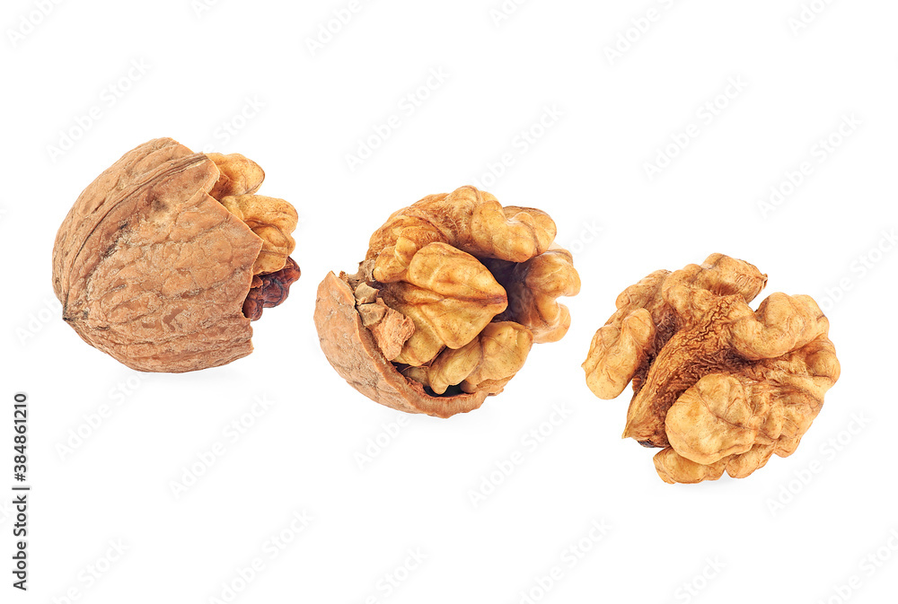Kernel and whole walnuts isolated on a white background. Set of delicious walnuts. Kernel and whole walnuts isolated on a white background. Set of delicious walnuts.