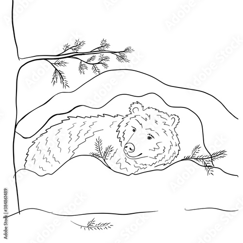 Hand drawn outline illustration of a bear in a den in winter. Vector illustration.