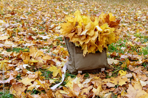 Backpack outdoors in the autumn nature, Hiking theme. Autumn leave.