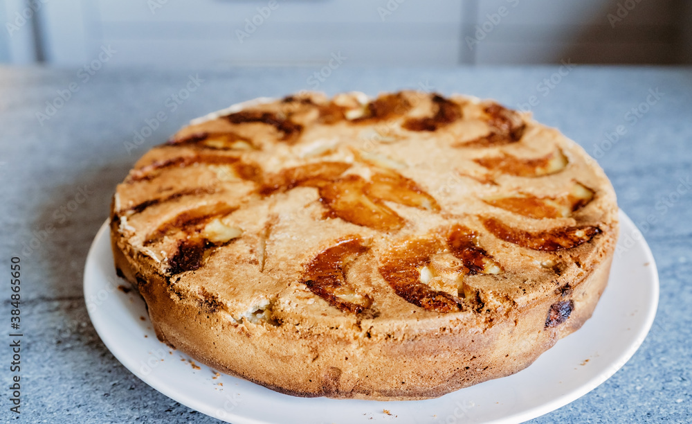 Close up photo of hot homemade apple pie or charlotte. Artisanal food, traditional autumn russian apple cake Sharlotka