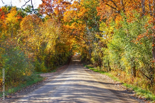 5009 - Harson Road in Fall II (5009-CRDS-101120-0318P)