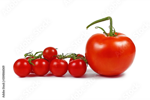 Trusses of small cherry tomatoes next to big salad tomatoe fruit isolated on white background