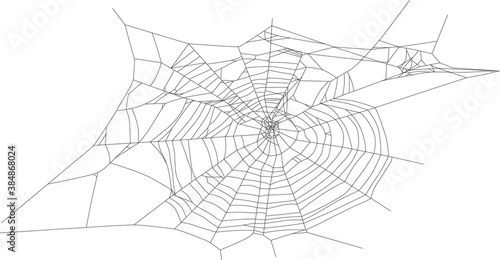 isolated old black spider web illustration