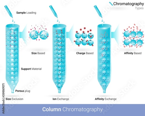 Types of column chromatography Affinity chromatography ion exchange and size exclusion chromatography used in the isolation of biological molecules vector illustration 