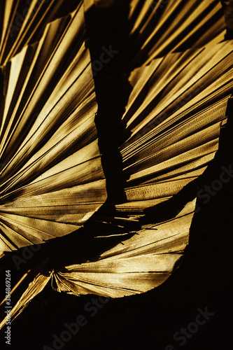 golden palm leaf