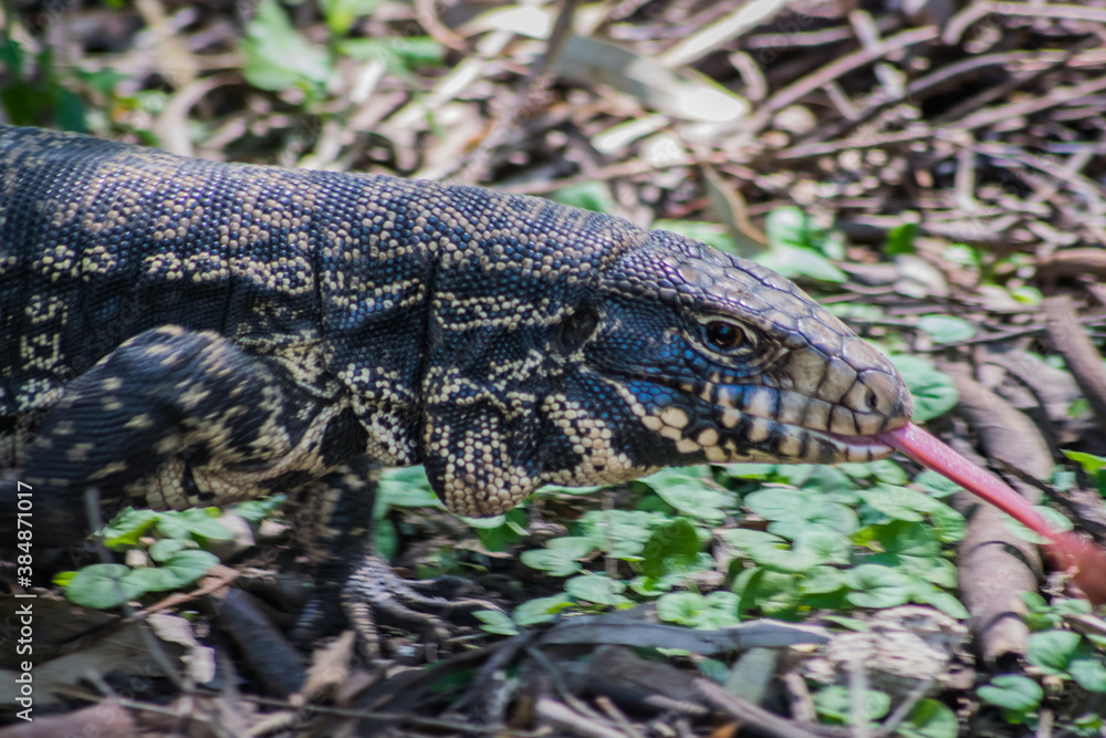 Fototapeta premium 12eqwe12