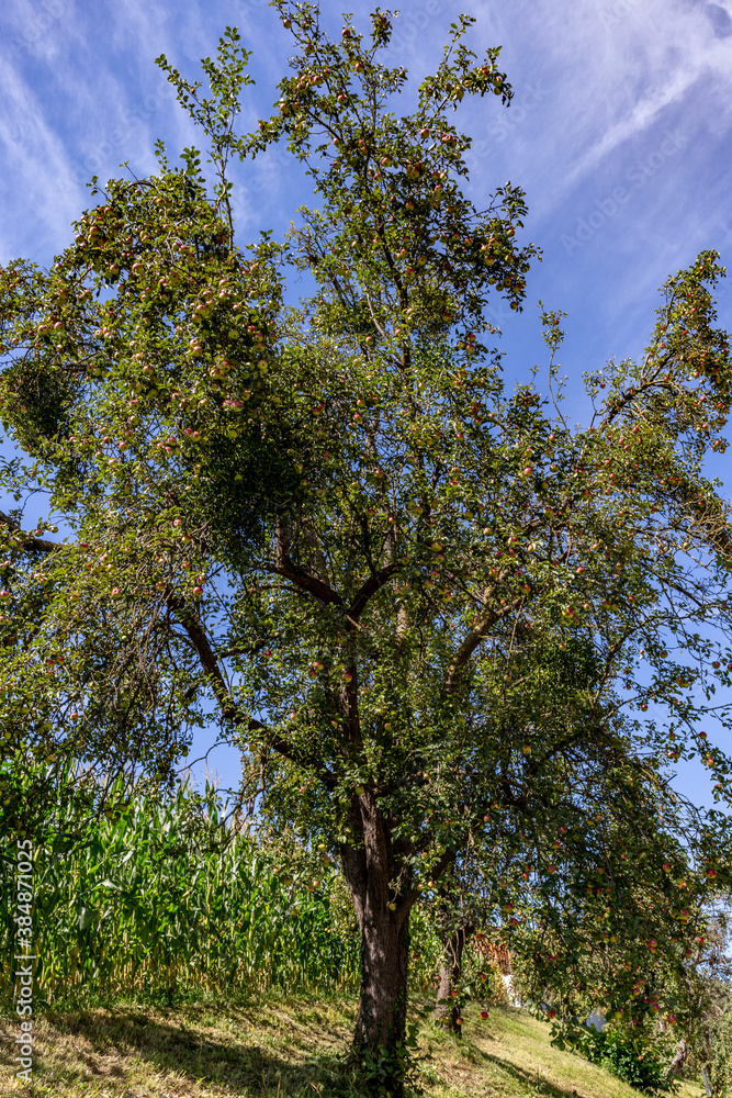 Obraz premium Pöllau