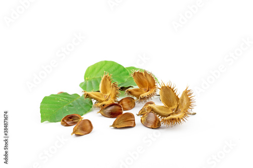 Served beechnuts, also in fruit cups with copper beech leaves (Fagus sylvatica). Edible autumn fruits isolated against a white background.