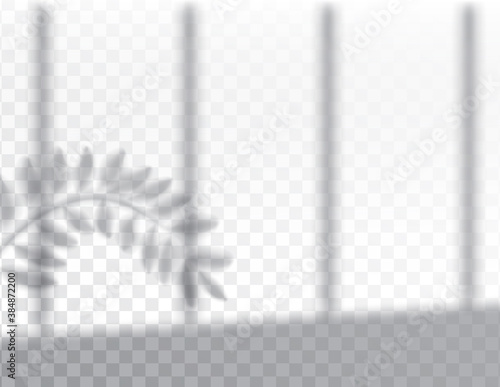 Shadow, overlay effects mock up, window frame and leaf of plants, natural light, vector illustration