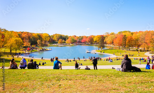 Enjoying autumn in a park on a beautiful day photo