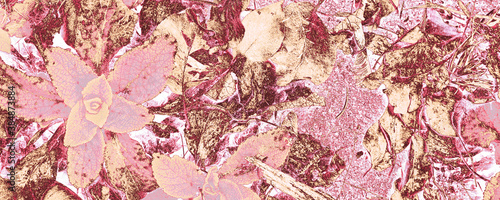 Fototapeta Naklejka Na Ścianę i Meble -  Brown Flora Decoration. Pink Tropical