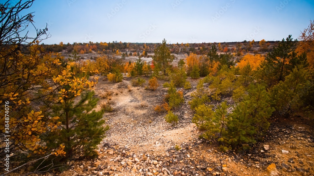 panorama view of abandoned granite quarry, now covered with young coniferous and deciduous trees, cold misty autumn morning, ecotourism fascination idea concept