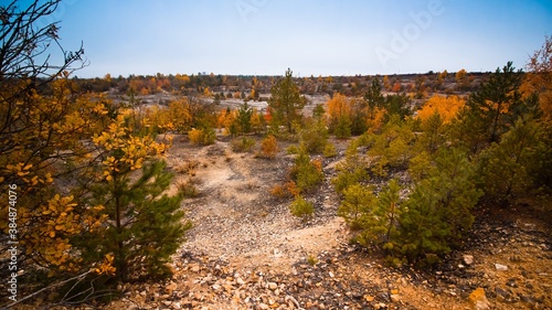 panorama view of abandoned granite quarry  now covered with young coniferous and deciduous trees  cold misty autumn morning  ecotourism fascination idea concept