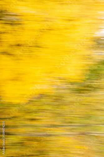 Abstract background of autumn leaves with zoom effect motion blur. Zoom speed blured motion.