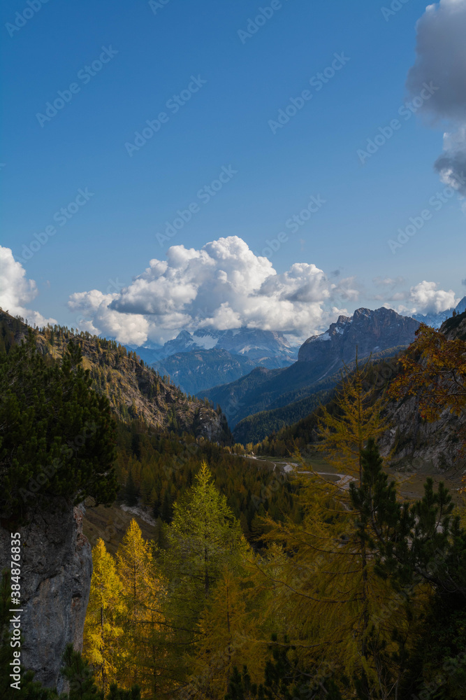 Fototapeta premium landscape in the autumn