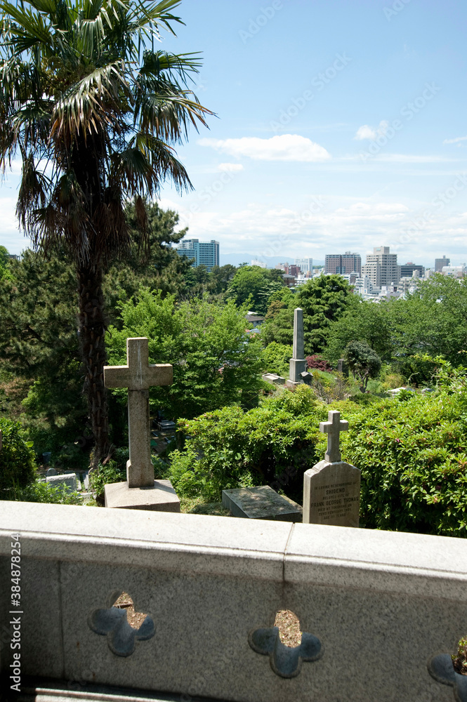 Fototapeta premium 外国人墓地